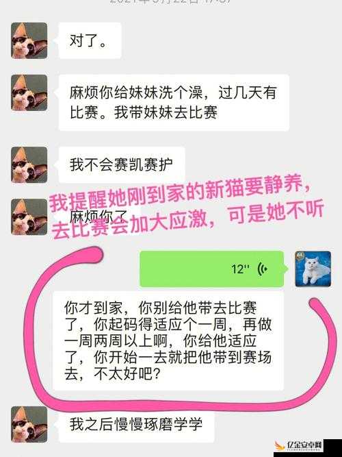 揭秘吃瓜网 51CG7 爆料取消了付费模式-背后原因究竟是什么